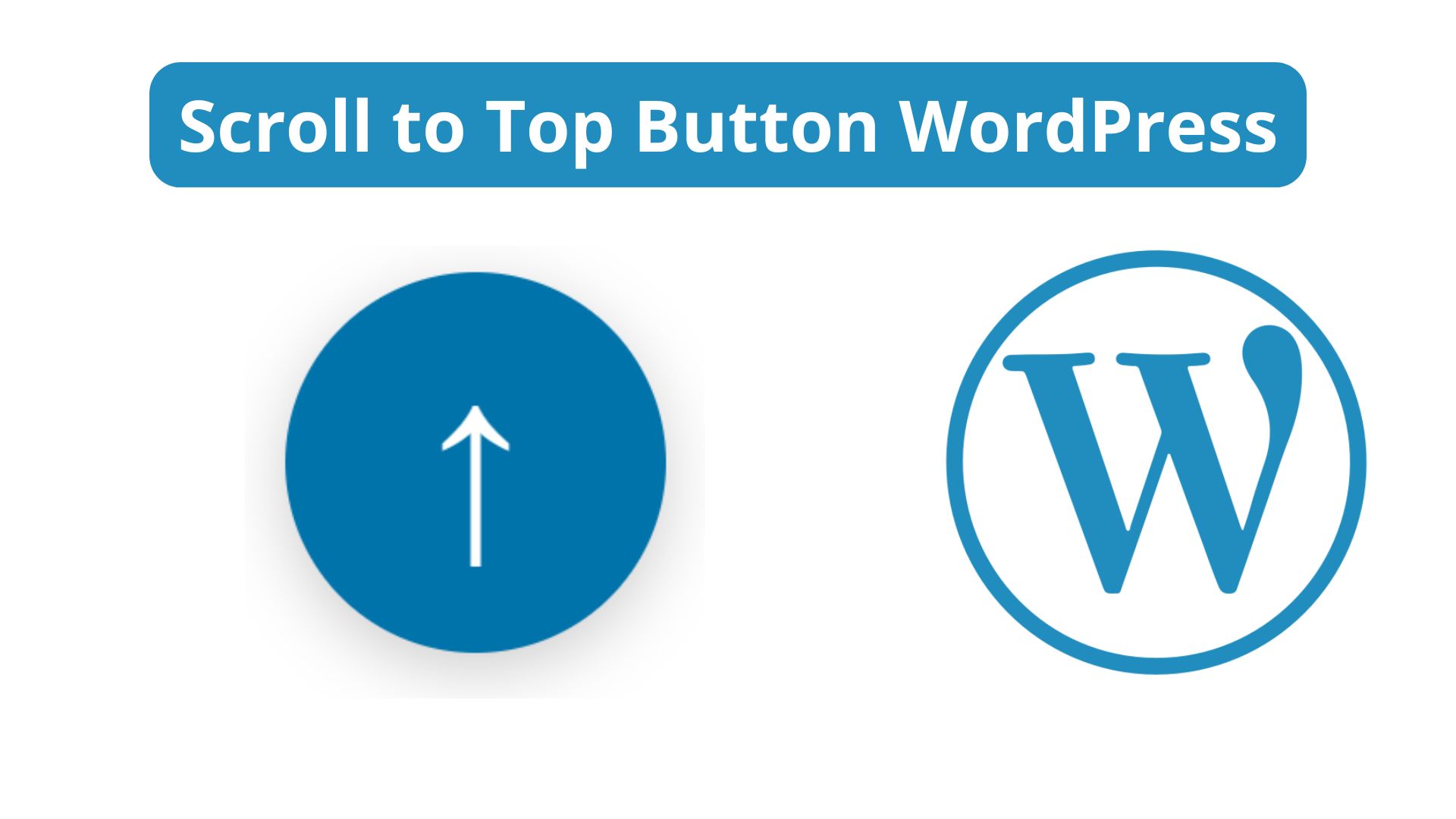 Inserir botão com link de Voltar ao Topo da tela no WordPress / WP Tutorial